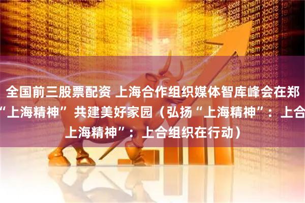 全国前三股票配资 上海合作组织媒体智库峰会在郑州举行 弘扬“上海精神” 共建美好家园（弘扬“上海精神”：上合组织在行动）